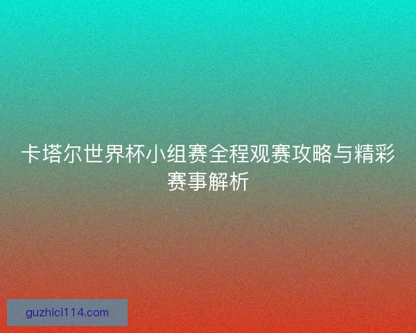 卡塔尔世界杯小组赛全程观赛攻略与精彩赛事解析